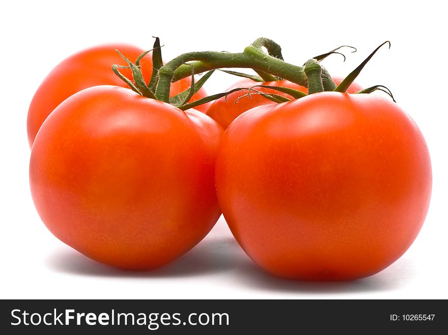 Fresh tomatoes. Macro studio isolated on white.