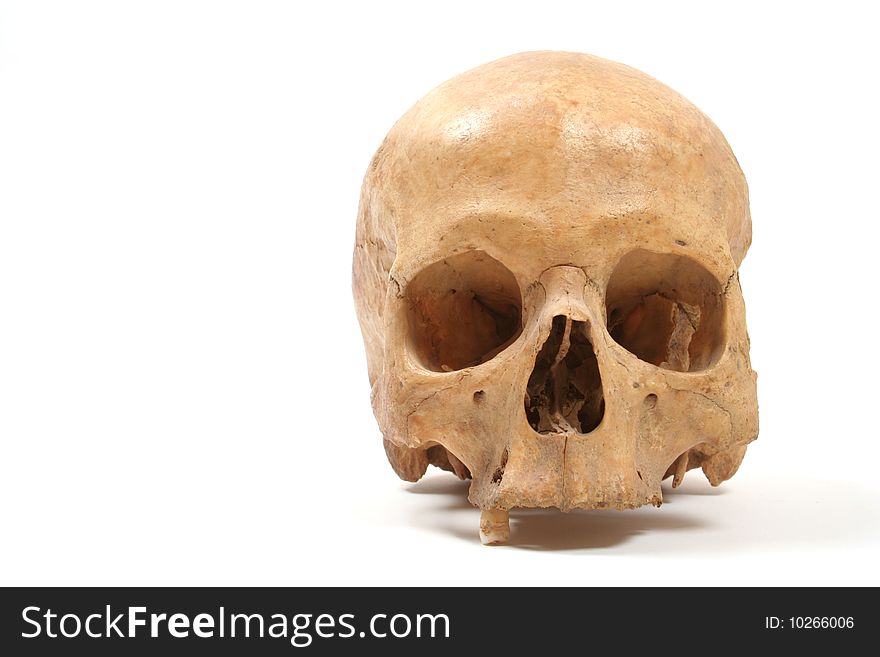 Old human skull (damaged) isolated on white background with copy space. Old human skull (damaged) isolated on white background with copy space