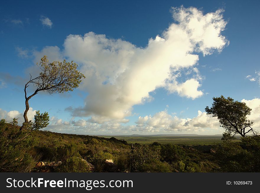 View of South African fynbos and cloudy sky, with farmland in background. View of South African fynbos and cloudy sky, with farmland in background