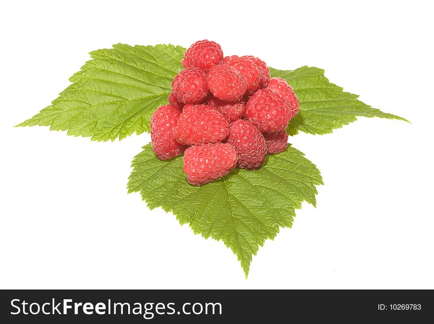 Raspberries With Green Leaf