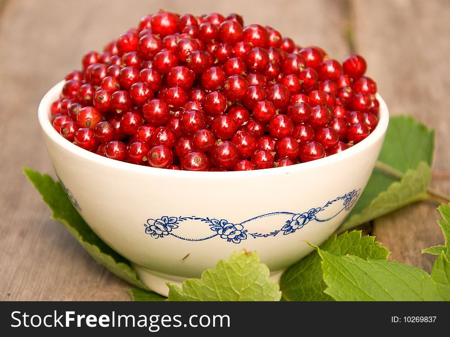 Bowl with berries of red currant