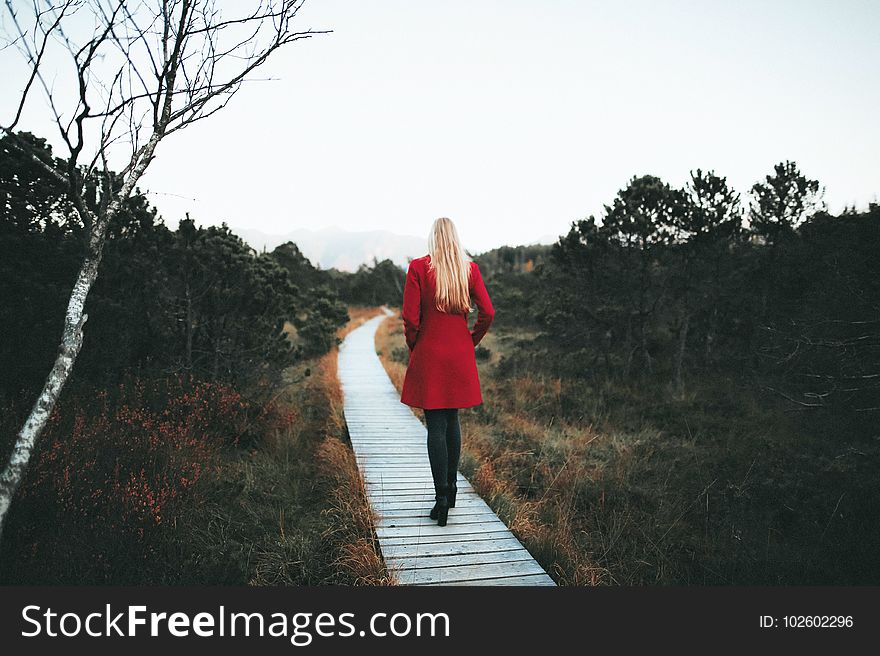 Adult, Boardwalk, Daylight, Dress