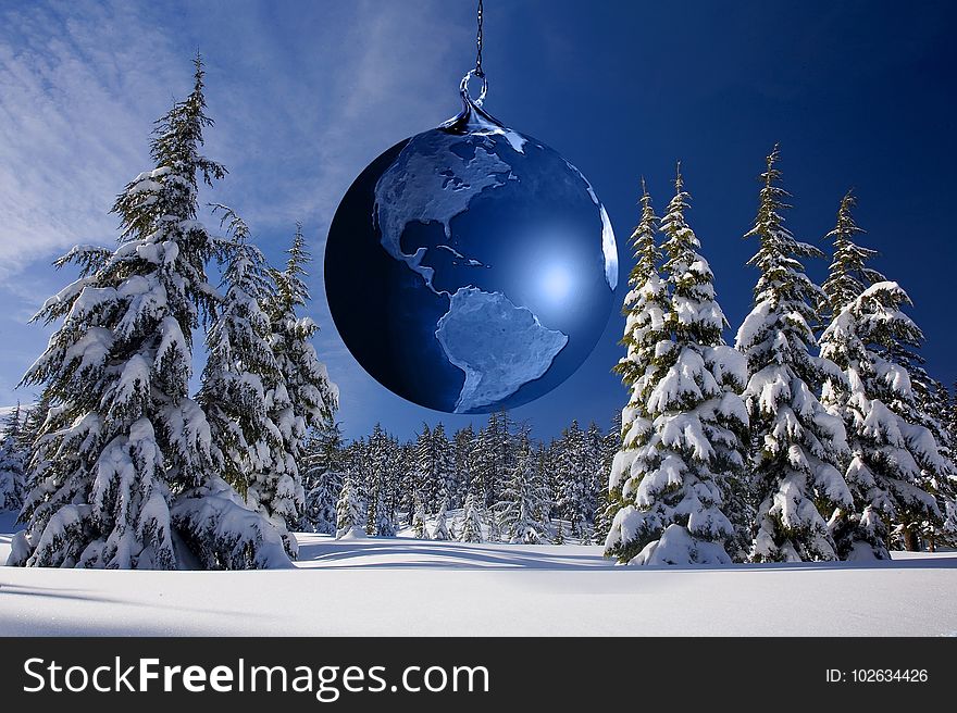 Winter, Christmas Tree, Tree, Sky