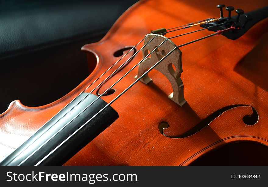 Musical Instrument, Violin Family, Cello, Violin