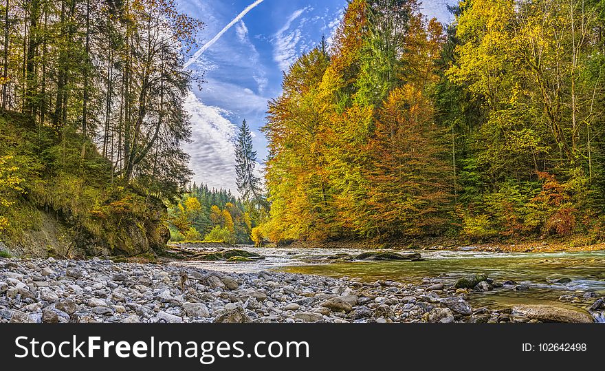 Nature, Ecosystem, Nature Reserve, Wilderness