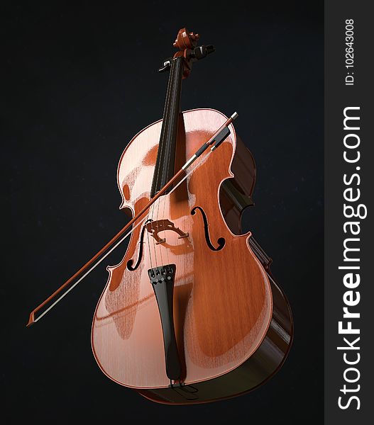 Musical Instrument, Cello, Violin Family, Double Bass
