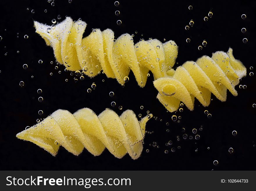 Yellow, Organism, Invertebrate, Membrane Winged Insect