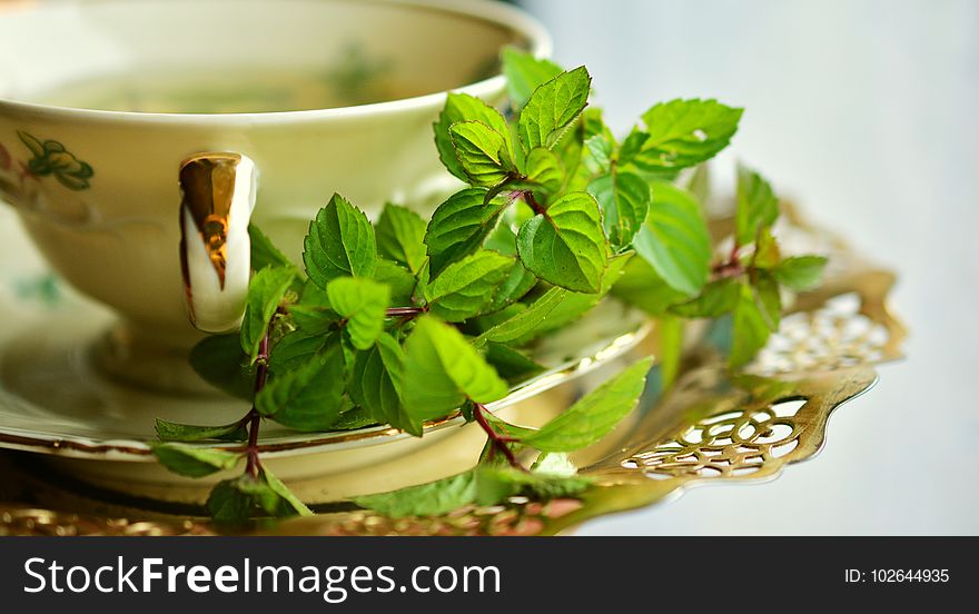 Herb, Herbalism, Cup, Tea