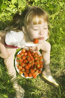 Girl Eating Strawberries. Stock Photography Girl Eating Strawberries. Stock Photography