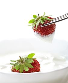 Strawberry With Cream Royalty Free Stock Images
