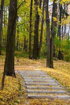 Autumn Colors In The Park Royalty Free Stock Photos Autumn Colors In The Park Royalty Free Stock Photos