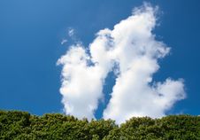 Tree Against Blue Sky Royalty Free Stock Image Tree Against Blue Sky Royalty Free Stock Image
