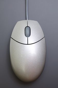 Mouse Stock Image