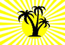 Palm Trees Royalty Free Stock Images Palm Trees Royalty Free Stock Images