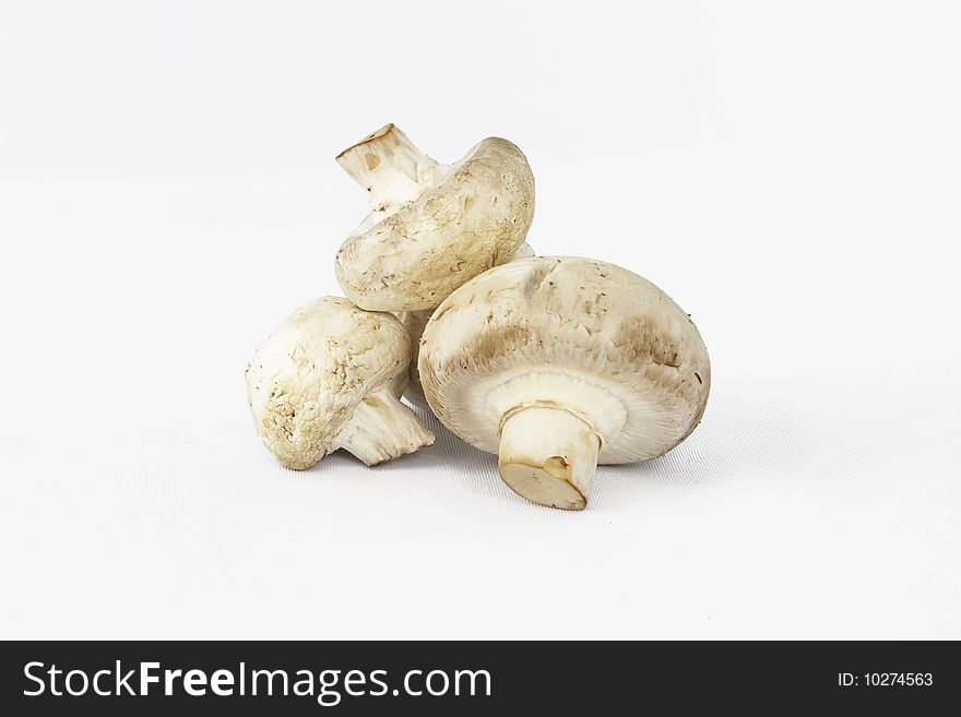 Three triangled edible cooking mushrooms. Three triangled edible cooking mushrooms