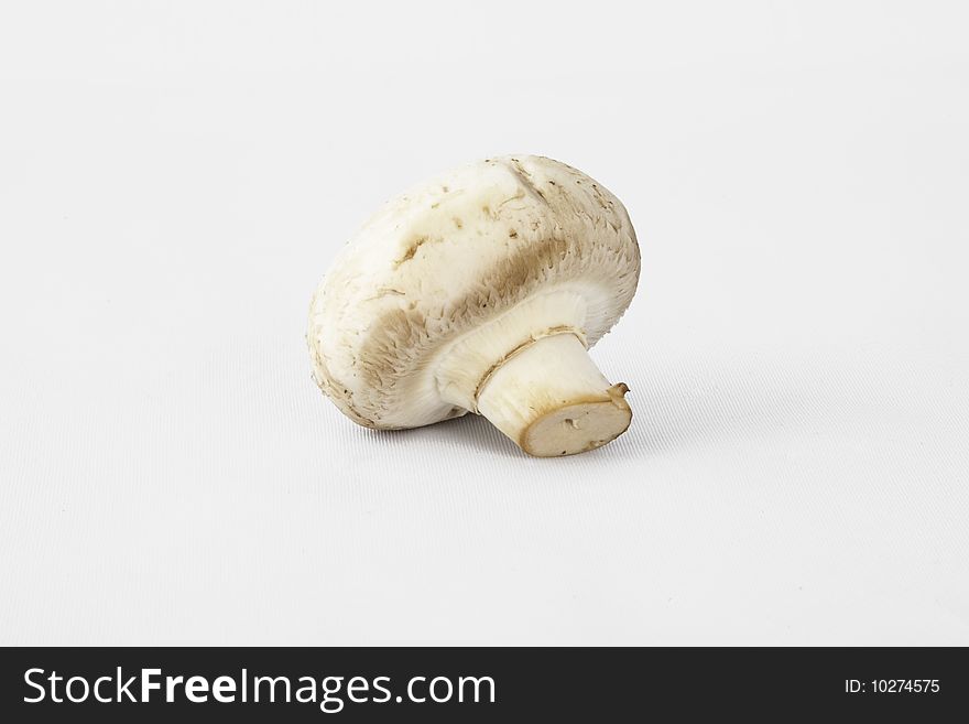 Single edible, white, cooking mushroom. Single edible, white, cooking mushroom