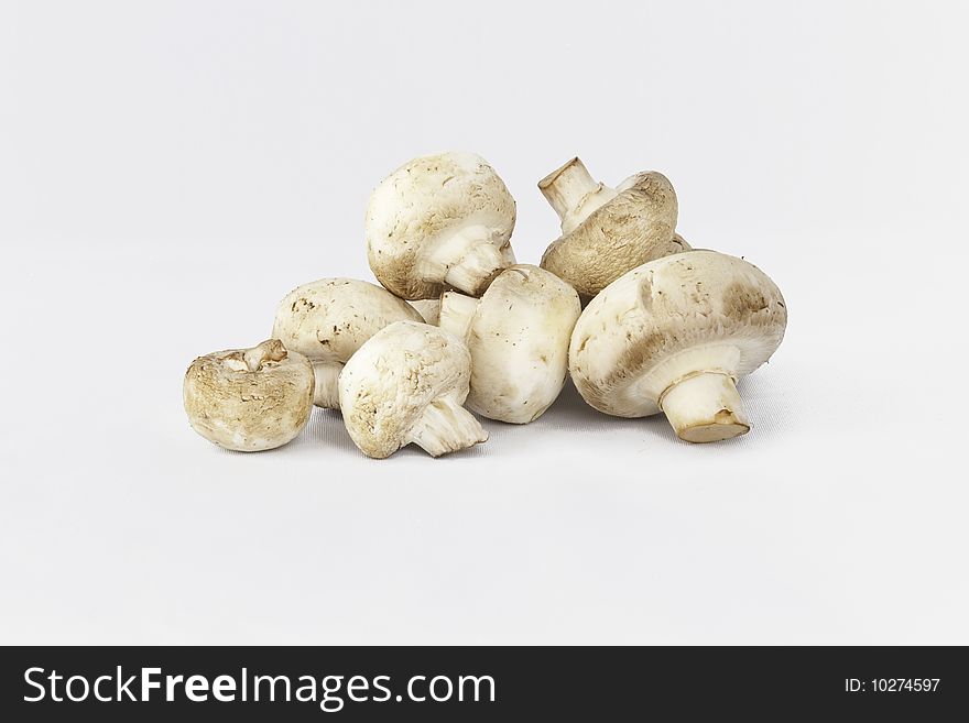 Several edible, white, cooking mushroom. Several edible, white, cooking mushroom