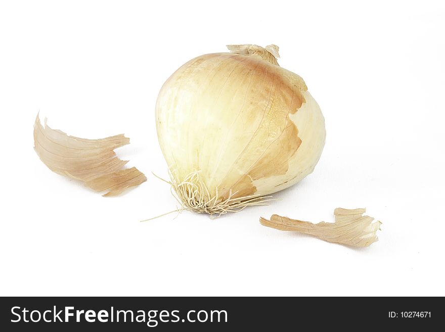 One white cooking onion with skin. One white cooking onion with skin