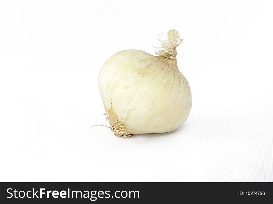 One white cooking onion with skin. One white cooking onion with skin