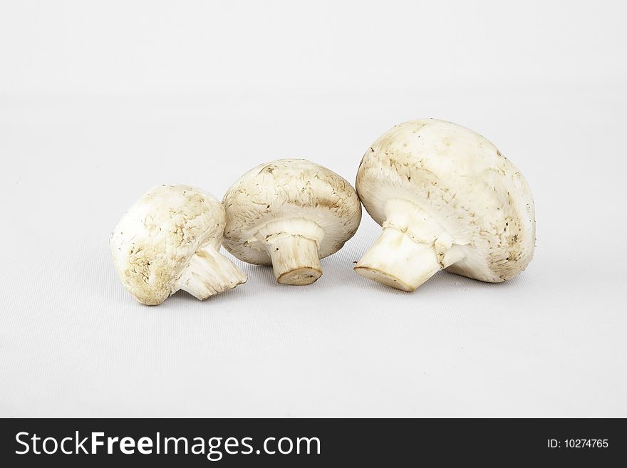 Three edible, white, cooking mushrooms in a row. Three edible, white, cooking mushrooms in a row