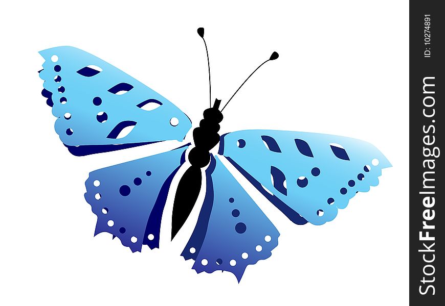 Butterfly, vector illustration for your design