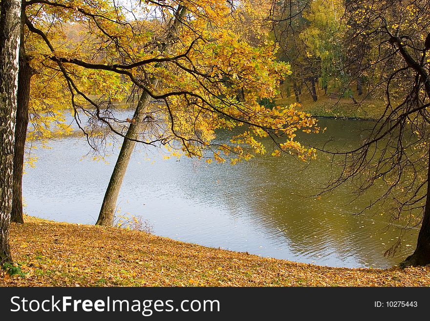 Autumn colors in the park