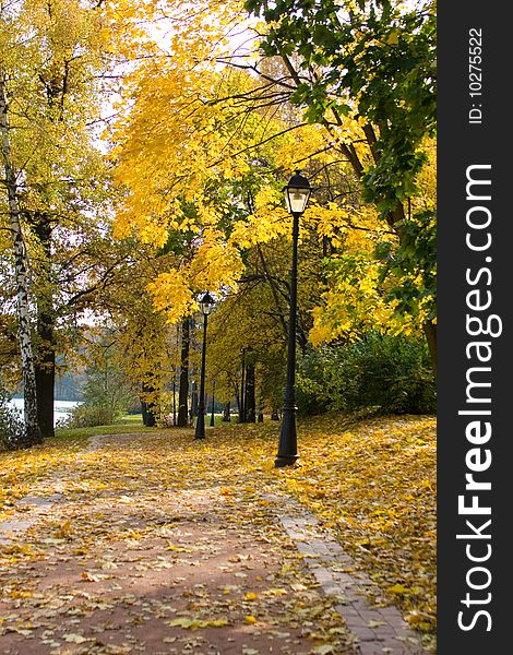 Autumn colors in the park, landscape