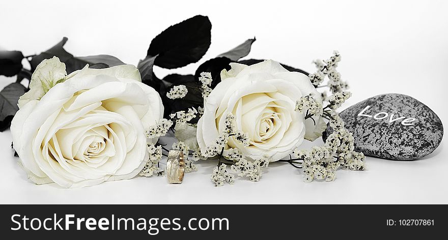 Flower, White, Cut Flowers, Flower Bouquet