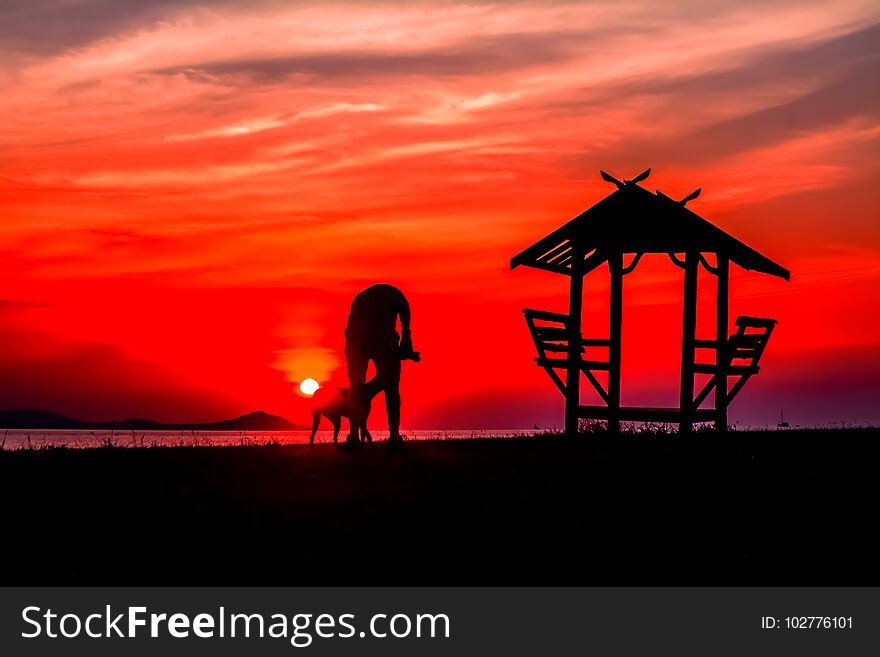 Blur of sunset background ,man with dog and little hut