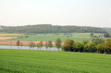 Landscape Field Royalty Free Stock Images