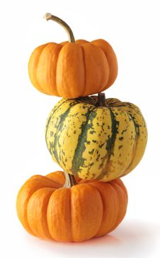 Three Colorful Pumpkins Stock Images Three Colorful Pumpkins Stock Images