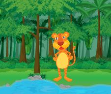 Rainforest Scene Royalty Free Stock Photos Rainforest Scene Royalty Free Stock Photos