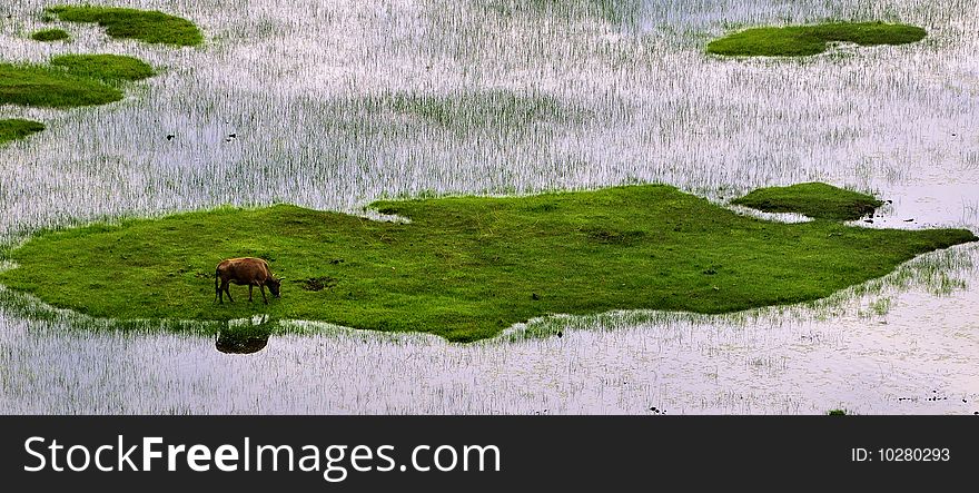 Shangri-La Ranch scenery