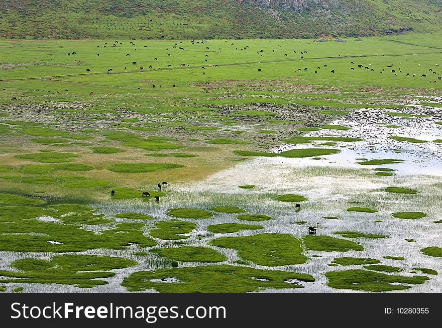 The beautiful scenery of Yunnan Plateau. The beautiful scenery of Yunnan Plateau