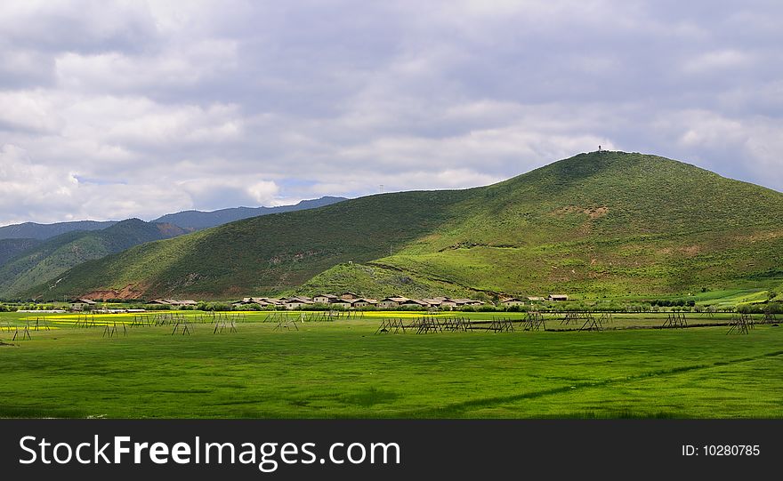 This is a Shangri-La Ranch.
Photo taken on: July 10th, 2009