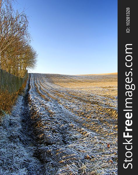 Winter Landscape With Trees Snow And Fence