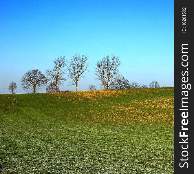 Landscape With Tree And Blue Sky