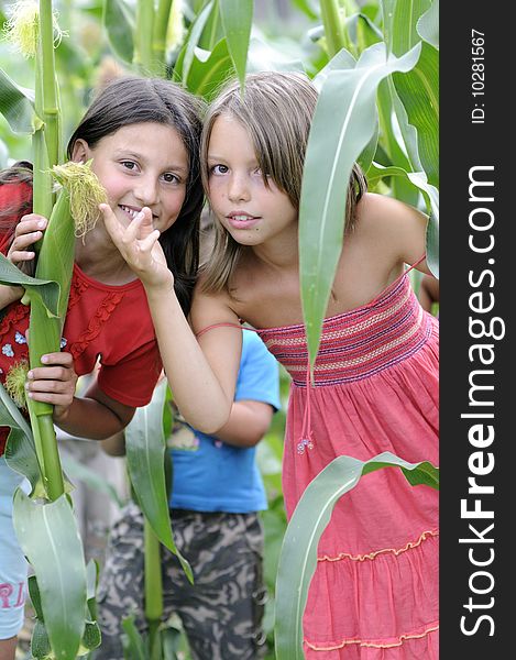 Girls In Corn Field