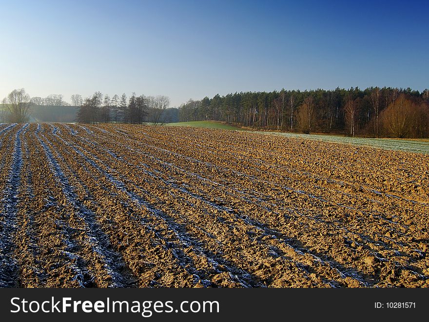 Landscape with tree and blue sky