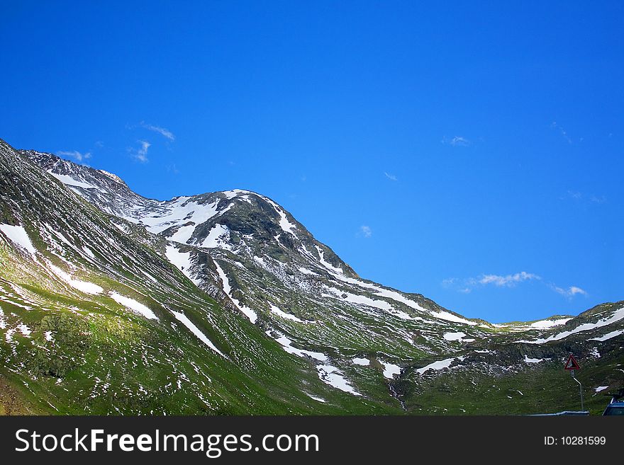 Mountain pine forest and blue sky