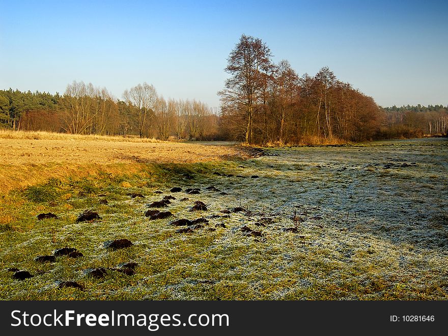 Landscape with tree and blue sky