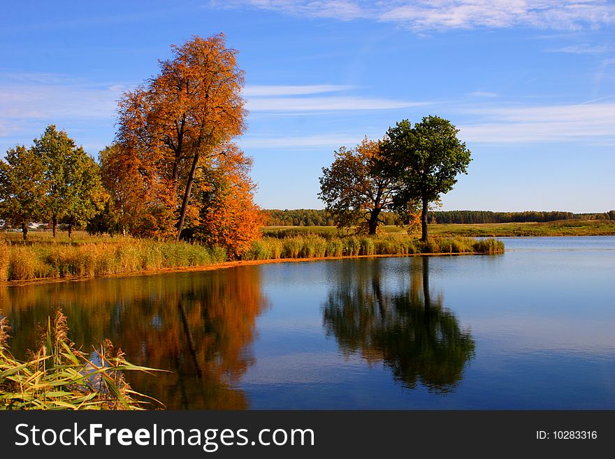 The autumn trees reflected in lake. The autumn trees reflected in lake