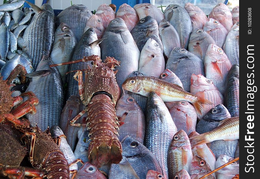 Morocco Fish
