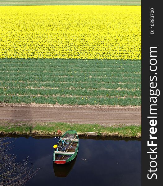 A postcard from Holand, boat,bike and tulip field.