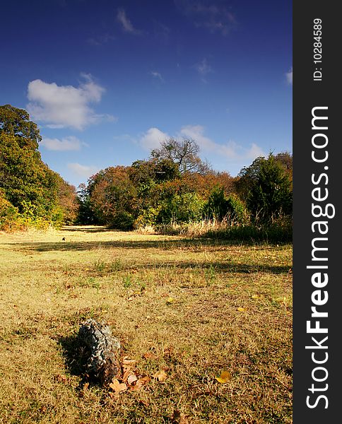 A park in early fall with beautiful blue sky