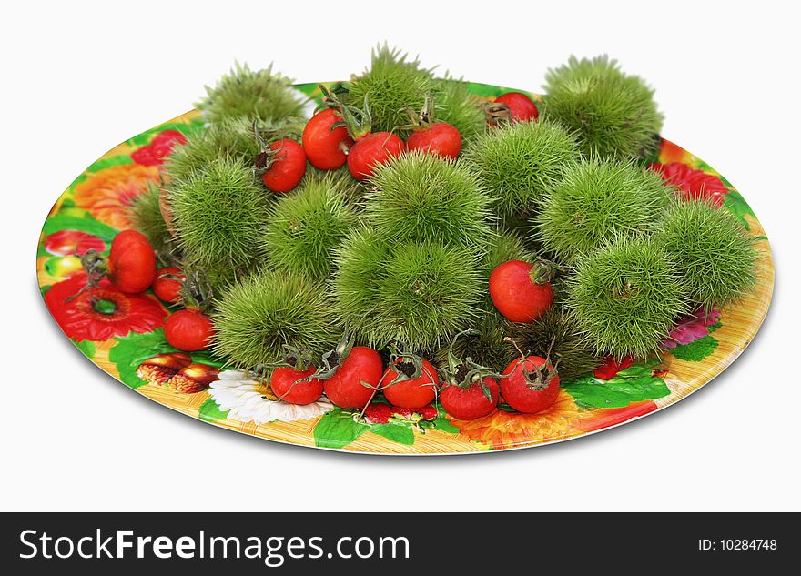 Castania sativa & rosa canina fruits on a plate. Castania sativa & rosa canina fruits on a plate