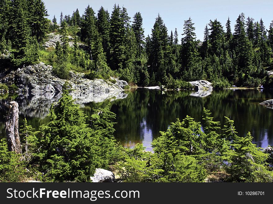 Small lake in the mountains surrounded by some trees. Small lake in the mountains surrounded by some trees