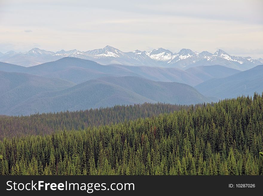 An evergreen forest of trees carries on towards distant snowcapped mountain peaks in southern British Columbia, Canada. An evergreen forest of trees carries on towards distant snowcapped mountain peaks in southern British Columbia, Canada.