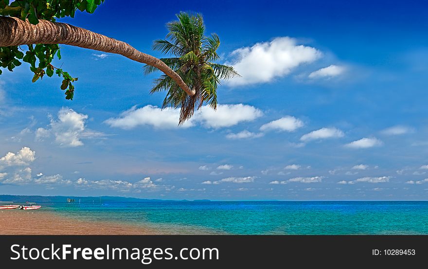 Colorful view of blue sky, turquoise sea and green palm tree. Colorful view of blue sky, turquoise sea and green palm tree.