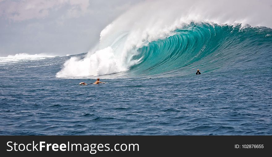 Wave, Wind Wave, Surfing, Surfing Equipment And Supplies